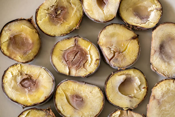 Fresh sweet chestnuts. Roasted chestnuts