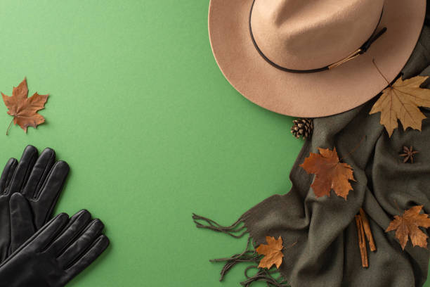 シックな秋のファッションの必需品。濃い緑の分離型背景にトレンディなフェルト帽子、暖かいスカーフ、ファッショナブルな手袋を持つトップビューショット。あなたのブランドを紹介す� - scarf hat green glove ストックフォトと画像
