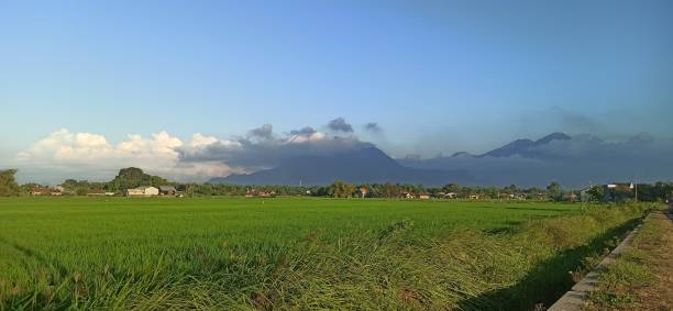 istock green field and cloudy sky 1562413128