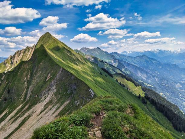 trail running sull'hardergrat. escursione sulla cresta più dura. vista mozzafiato sul lago di brienz. brienzer rothorn. foto di alta qualità - brienz mountain landscape lake foto e immagini stock