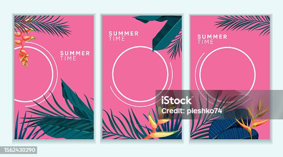 istock Trendy summer tropical designs templates set. Vivid pink background with various tropical forest leaves. Best for invitations, party and promotion designs. Vector illustrations. 1562430290