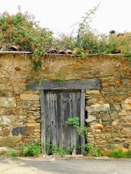 istock ancient door in rural landscapes 1562434790