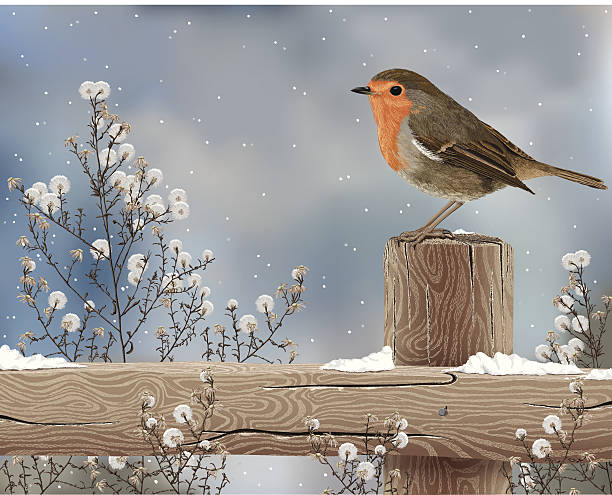 bildbanksillustrationer, clip art samt tecknat material och ikoner med robin on a winter day - flowers winter