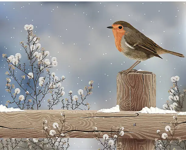 Vector illustration of Robin on a Winter Day