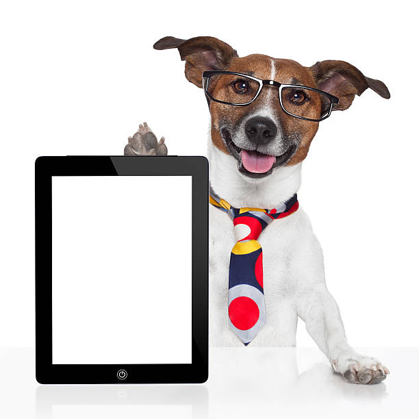 istock business dog tablet pc ebook touch pad 156256026