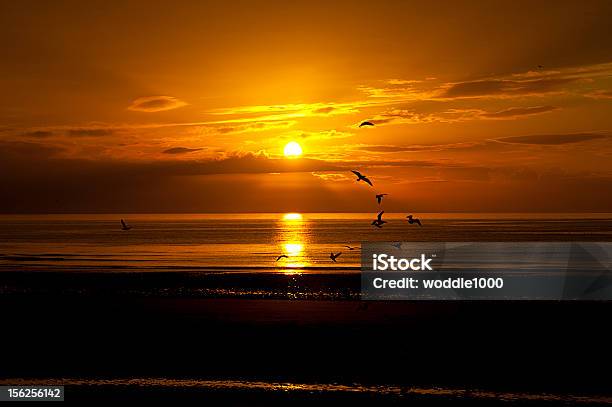 Birds Flying In Den Sonnenuntergang Stockfoto und mehr Bilder von Abenddämmerung - Abenddämmerung, Fotografie, Horizontal