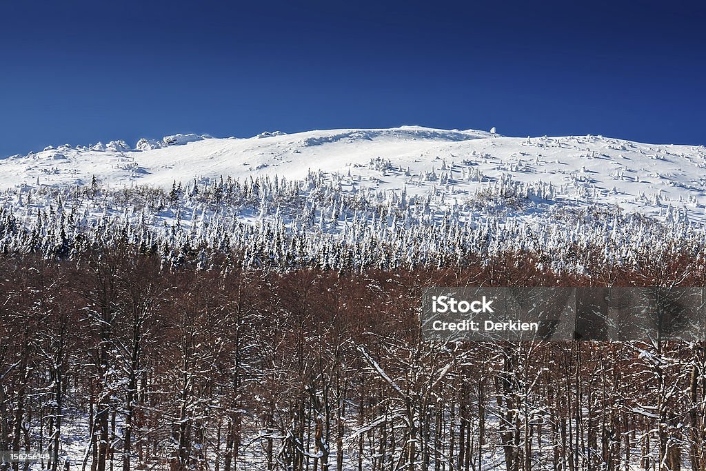 Paesaggio montano invernale - Foto stock royalty-free di Albero