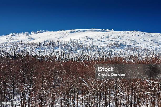 Paesaggio Montano Invernale - Fotografie stock e altre immagini di Albero - Albero, Albero spoglio, Ambientazione esterna