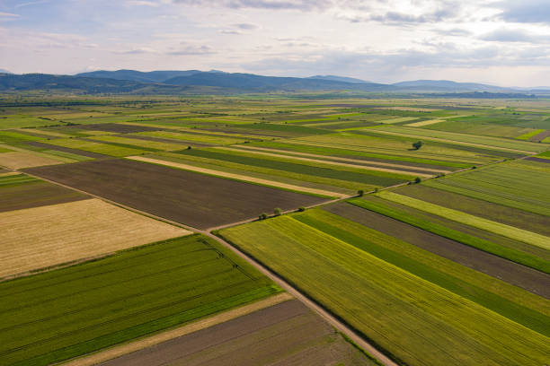 istock Aerial photograph captures 1562568104