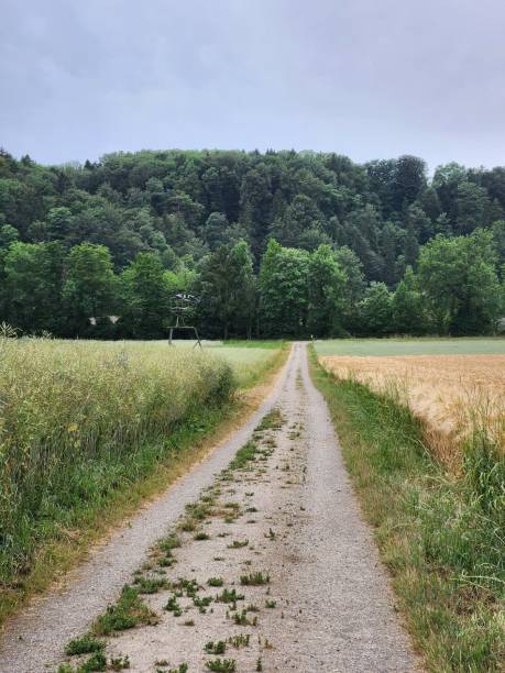 istock Road to farming 1562571416