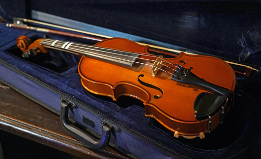 Violin \