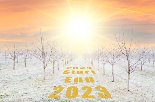 Start 2024. End 2023. New Year. Plantation of fruit trees with beautiful sun down background. freezing rain storm in winter. Winter frosty fruit tree lands