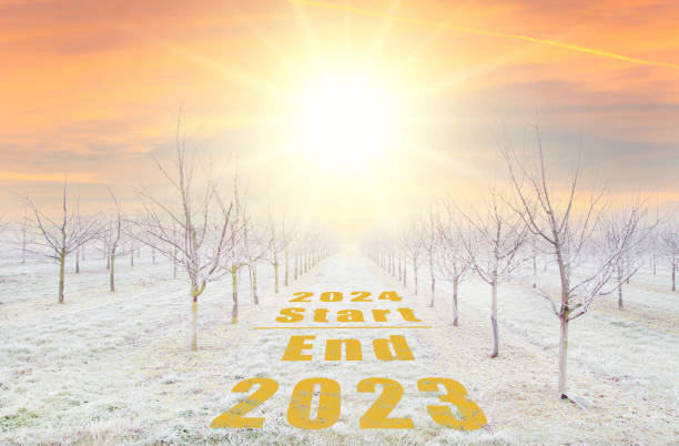 start 2024. end 2023. new year. plantation of fruit trees with beautiful sun down background. freezing rain storm in winter. winter frosty fruit tree lands - rain snow sun beauty imagens e fotografias de stock