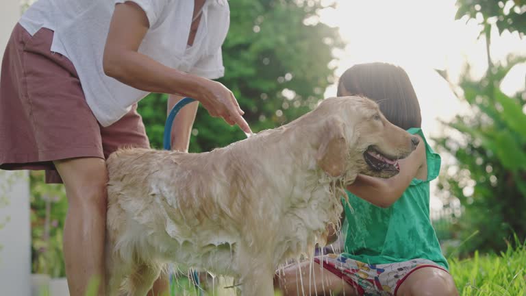 Asian family with mother and daughter washing a dog dog in garden at home.