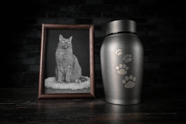 In remembrance of a pet. Decorative urn , next to a photograph of the pet. In remembrance of a pet. Decorative urn , next to a photograph of the pet. pet loss stock pictures, royalty-free photos & images