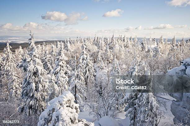 Photo libre de droit de Forêt Recouverts De Neige banque d'images et plus d'images libres de droit de Arbre - Arbre, Beauté, Beauté de la nature