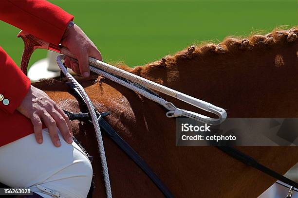 Foto de Concurso Completo De Equitação e mais fotos de stock de Cavalo - Família do cavalo - Cavalo - Família do cavalo, Chicote, Animal doméstico
