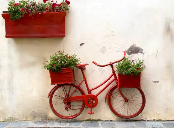 Photo of Flower on a bicycle background Lawn