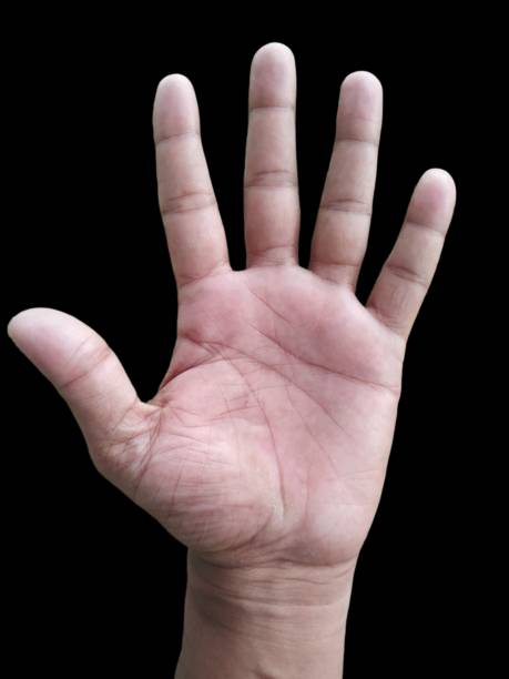 istock hand in the form of a hand 1562677874
