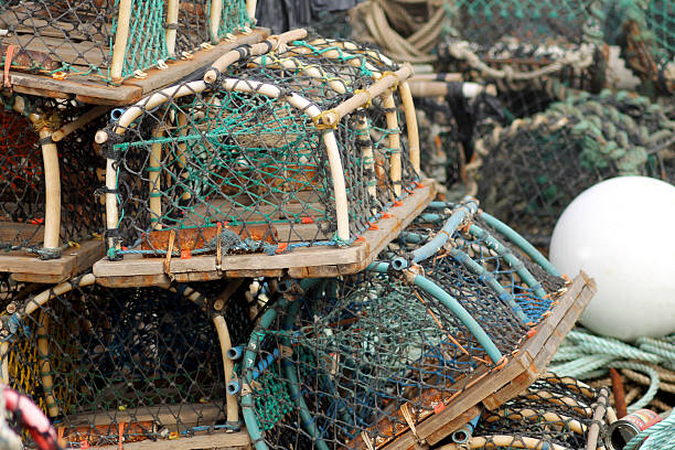 istock Lobster pots and creels 156268194