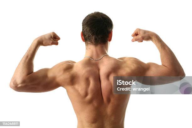 Dobrando Biceps - Fotografias de stock e mais imagens de Adulto - Adulto, Articulação humana, Beleza