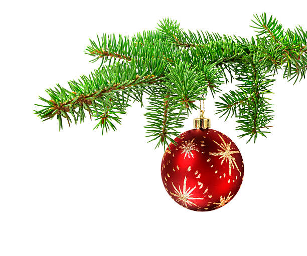 istock Red ball on christmas tree branch 156268983
