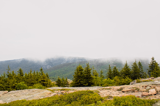 A view of fog floating on by at the top of a mountain in Acadia National Park. Mount Desert Island, Maine.
