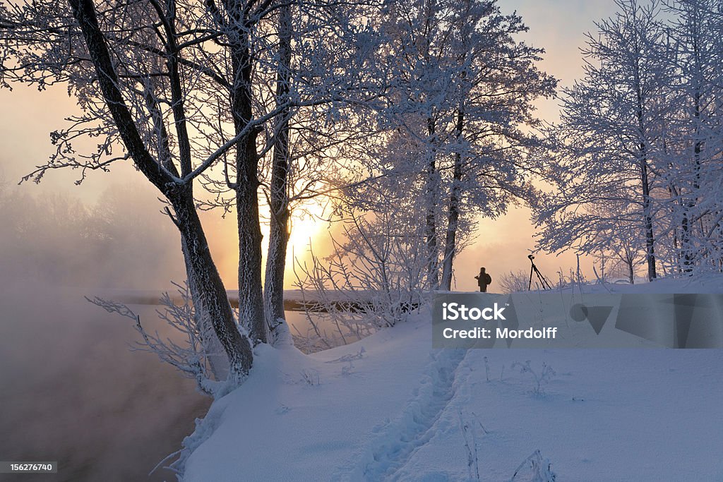 Invierno paisaje con misty river y congelarse trees at sunrise - Foto de stock de Adulto libre de derechos