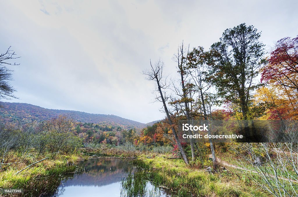 Autunno al lago Powhatan - Foto stock royalty-free di Acqua