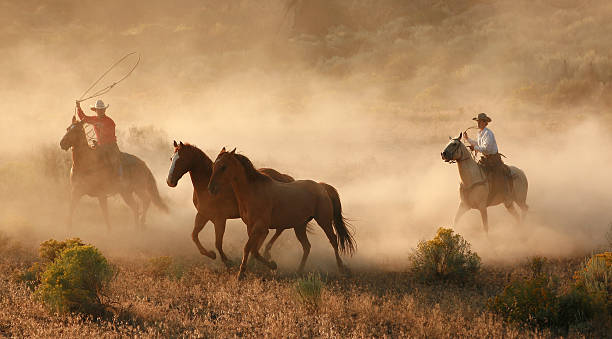 istock cowboys and wranglers 15 156277705