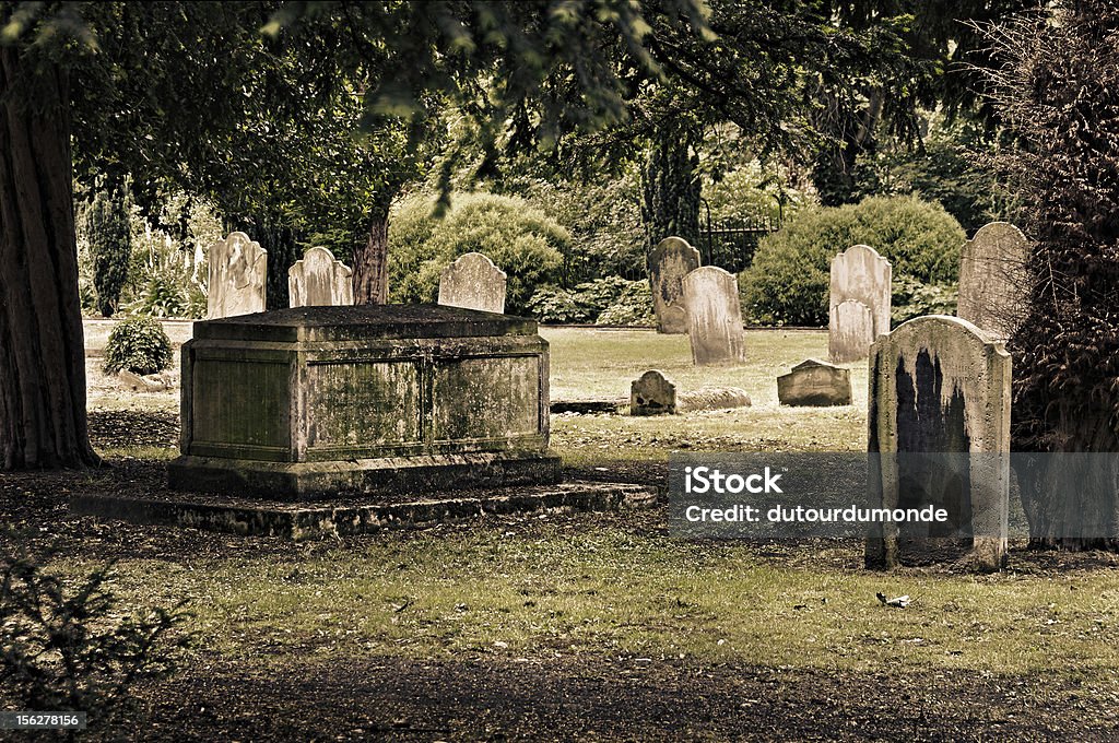 Cimitero inglese - Foto stock royalty-free di Albero