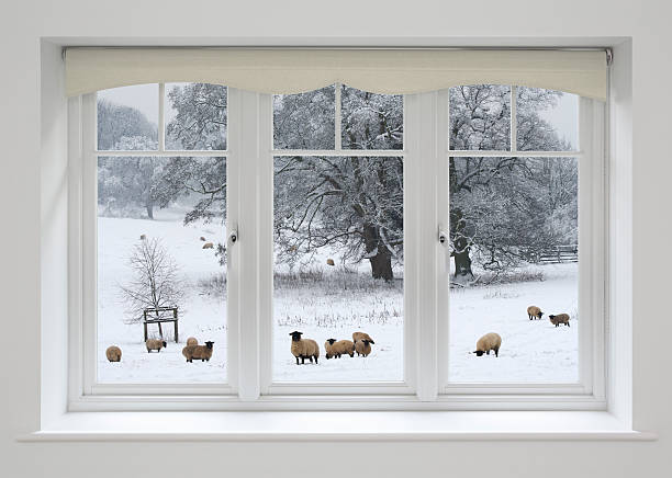beautifully made white wooden windows set in a grey wall with a cream coloured roller blind above. The view is towards a snow covered field with sheep and frosted oak trees. This is a composite of two images.