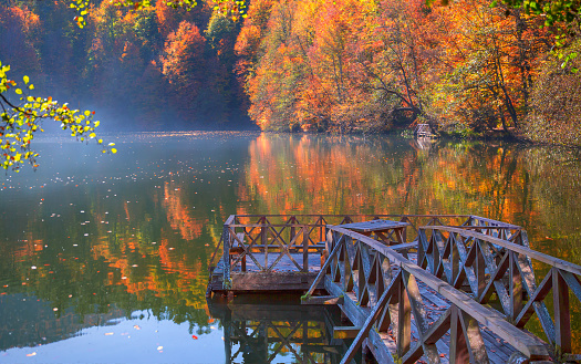 Autumn forest landscape reflection on the water with wooden pier - Autumn landscape in (seven lakes) Yedigoller Park Bolu, Turkey