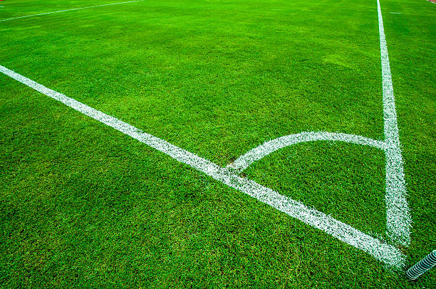 istock Football (soccer) field corner with white marks 156280709