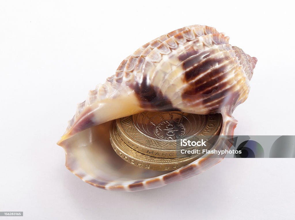 Collectable Shell Money Shell Funds Stock Photo - Download Image Now - Animal Shell, British ...
