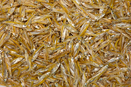 Dried Anchovies , Small Fish