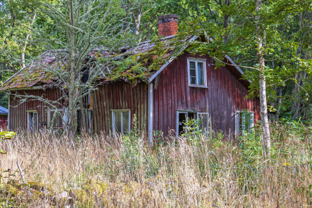 istock Abandoned house at the edge of the forest 1562841021