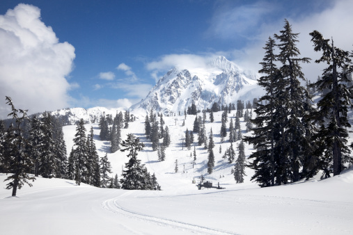 Mt Shuksan, Mt Baker ski area in winter, Washington State, USA