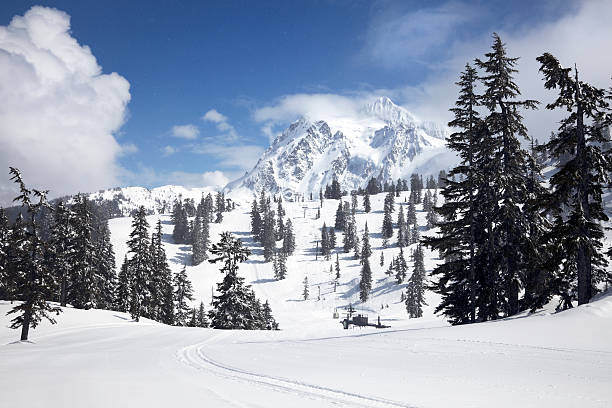 Mt Shuksan Mt Shuksan, Mt Baker ski area in winter, Washington State, USA mt shuksan stock pictures, royalty-free photos & images