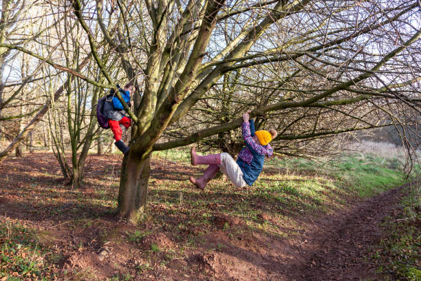 Two children climbing a tree in the countryside stock photo