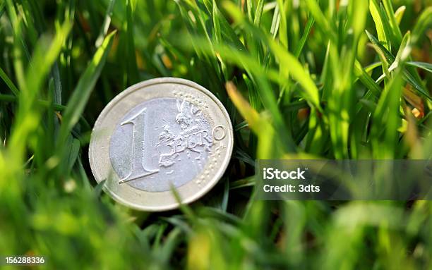 1 유로 동전 In The Grass 접사를 슛 유럽 연합 통화에 대한 스톡 사진 및 기타 이미지 - 유럽 연합 통화, 녹색, 유럽연합 화폐 단위