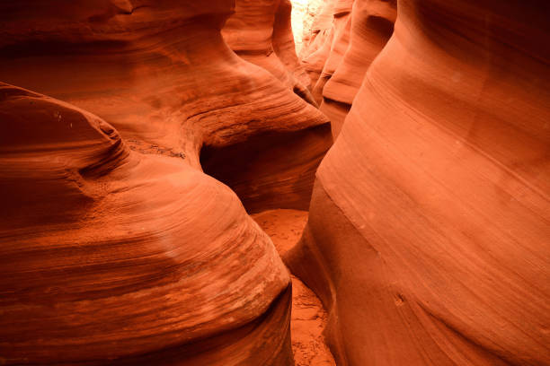 rattlesnake slot canyon arizona - rattlesnake photos et images de collection