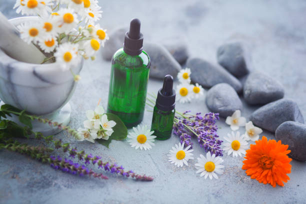 istock aromatherapy oil with fresh herbs and flowers 1562907559