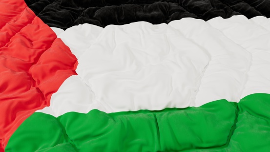 Palestine Flag High Details Wavy Background