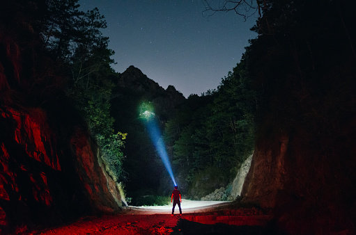 A person holding a flashlight for lighting in the wilderness