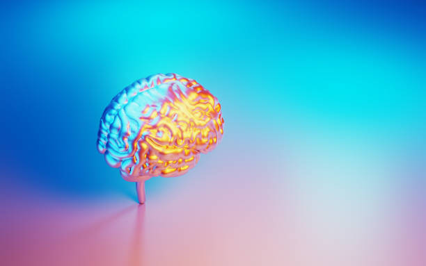 istock A.I. Concept - Metallic Brain Object Illuminated By Blue And Pink Lights On Blue And Pink Background 1562969700