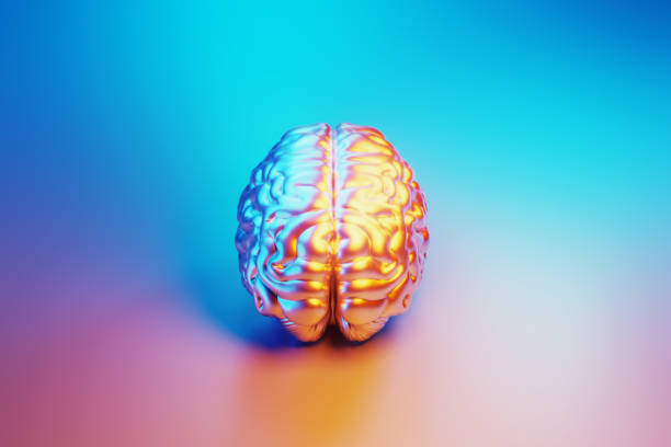 istock A.I. Concept - Metallic Brain Object Illuminated By Blue And Pink Lights On Blue And Pink Background 1562969731