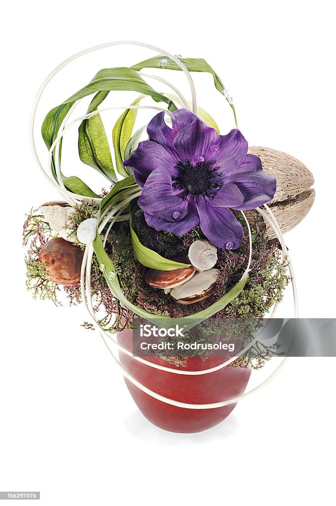 abstract composición de coco, flor, rocas y vines arran - Foto de stock de Abstracto libre de derechos