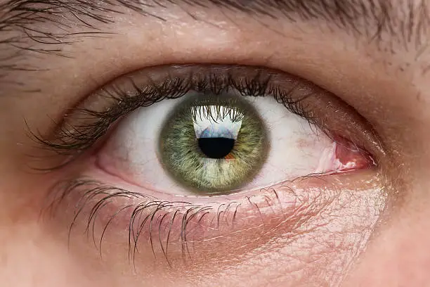 Photo of Close-up of green eye of a white person