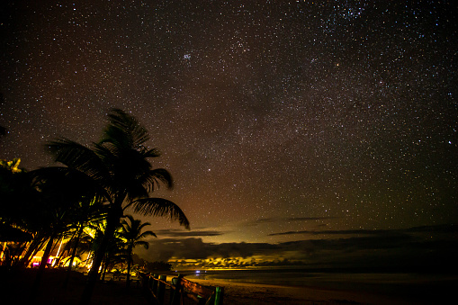 Night photography from a beach at Bahia, Brazil. Many stars and milky way visible at the sky. Coconut palm tree silhouette at the foreground.